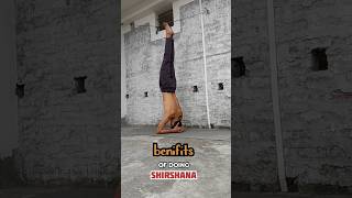 benifits of doing shirshasana💯SwamiRamdevOfficial shorts yoga viral facts [upl. by Phare974]