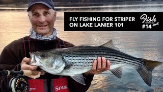 How To Get Started Fly Fishing For Striper On Lake Lanier w Henry Cowen [upl. by Hummel]