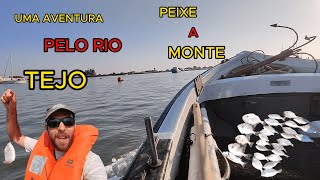 PESCARIA PELO RIO TEJO  PEIXES PORCO  CHOUPAS E MAIS [upl. by Lanoil]