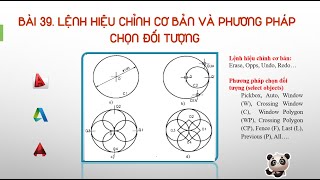 Bài 39 Lệnh hiệu chỉnh và cách chọn đối tượng Basic editing commands object selection methods [upl. by Adeirf]