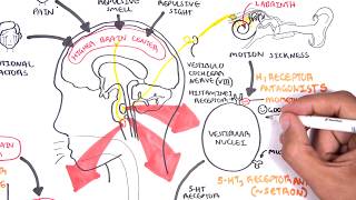 Pharmacology  Antiemetics [upl. by Aletta]