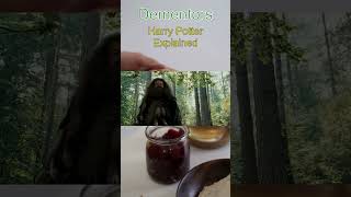 Dementors from Harry Potter Explained [upl. by Sidnal]