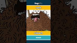 🇬🇧🇸🇰 reek  zápach  vocabulary builder  learn English  naučme sa anglicky [upl. by Orola]