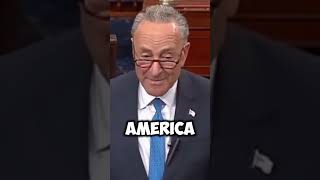 No President has the power to pardon himself  Chuck Schumer youtubeshorts [upl. by Llerahc686]