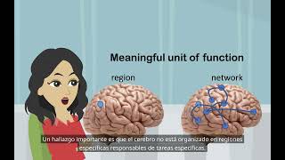 Investigación sobre el cerebro dividido Psicología básica localización de funciones en el cerebro [upl. by Rudie392]