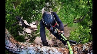 Gopro Tree Climbing Swing and Limb walk [upl. by Dnyletak536]