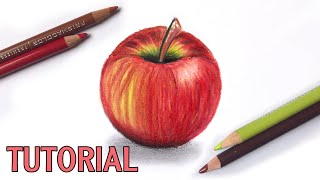 How To Draw An Apple  Color Pencil Tutorial [upl. by Magnusson934]