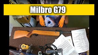 Luftgewehr Perfecta 79 alias Milbro G79 alias Diana G79 [upl. by Rovit]