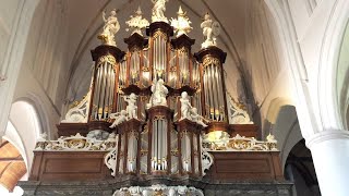 Psalm 103  Klaas Jan Mulder  Hendrik Jan van der Heiden  Hinsz  orgel Martinikerk Bolsward [upl. by Airehs]