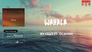 CKay ft Olamide  Wahala Lyrics [upl. by Tay]