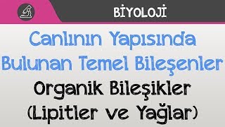 Canlının Yapısında Bulunan Temel Bileşenler  Organik Bileşikler Lipitler ve Yağlar [upl. by Ttemme766]