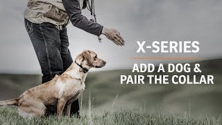 XSeries  How to Add a Dog and Pair the Collar [upl. by Knowlton212]