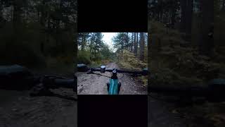 MTB downhill mtb mountains cycling downhill bike crosscountry adrenaline bikelife bikelover [upl. by Lynde537]