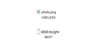 I Made THE Best Image File Extension [upl. by Sofia]