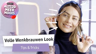 Zo creëer je vollere wenkbrauwen  Makeup tutorial  Kruidvat [upl. by Isnyl]