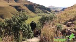 Drakensbergen in ZuidAfrika  NatureScannernl [upl. by Mose]