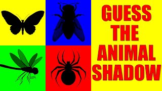 Guess the INSECTS from Their Shadow  Quiz Game for Kids Preschoolers and Kindergarten [upl. by Chancelor]