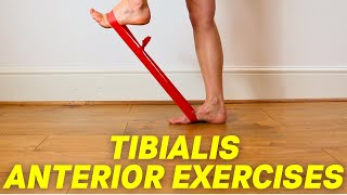 Anterior Tibial Tendonitis Exercises by a Foot Specialist [upl. by Lammaj479]