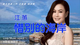 惜别的海岸 台語歌 江蕙歌曲 [upl. by Nannek]