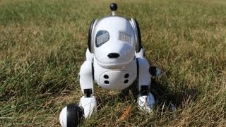 Zoomer The Interactive Robotic Dog Review [upl. by Ruskin]