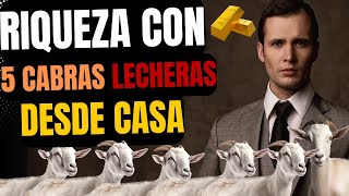 porque invertir en 5 cabras lechera negocio rentable gana dinero desde casa [upl. by Ocnarf]