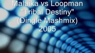 Malaika vs Loopman  Tribal Destiny Dingle Mashmix 2005 [upl. by Ardiekal]