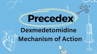 Precedex or Dexmedetomidine Mechanism of Action and Functions [upl. by Belier800]