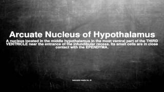 Medical vocabulary What does Arcuate Nucleus of Hypothalamus mean [upl. by Cherlyn]