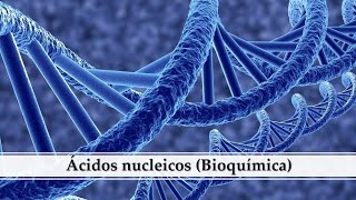 Ácidos nucleicos Bioquímica [upl. by Debbie]