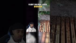 Flight Reacts Dolphin Laugh viralvideo trending shorts comedy funny flight streamer short [upl. by Novikoff]