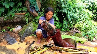 Hardest work done by villagers near Tibet border for survival  Tasey food making near Tibet border [upl. by York]