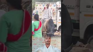 Deshi ka Power hai bhai 😱🤣 reels tranding viral shortvideos funny funnyvideo funnyshorts [upl. by Lyrem584]