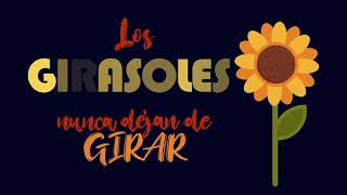 Girasoles  Luis Fonsi  Mothion Graphic TF [upl. by Uria]