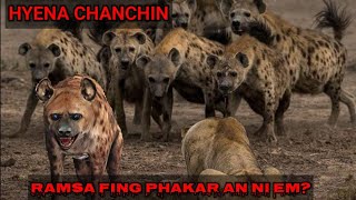 HYENA CHANCHIN [upl. by Attenehs]