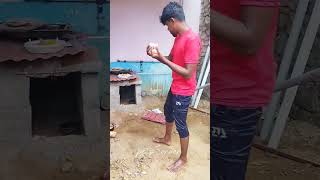 🌀🌀காமாட்சி விட்டா கொன்னுருப்பா🐣⁉️🤯🌀💥trending petscorner tirunelveli egg chicken chiks chiks [upl. by Meggi120]