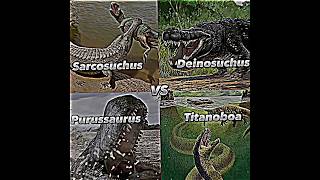 Sarcosuchus Vs Purussaurus Vs Deinosuchus Vs Titanoboa  Death Battle dinosaur edit shorts [upl. by Wilone]