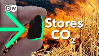 Biochar How burning stubble could FIGHT air pollution [upl. by Ahsilrac]