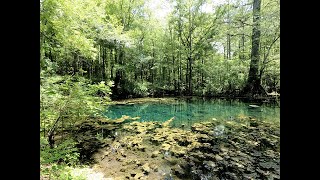 Ancient Springs and Sinks of The Suwannee River Valley [upl. by Mohammed]