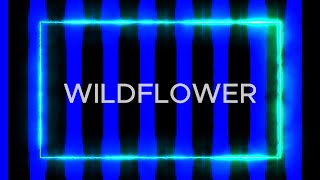 WILDFLOWER Billie Eilish Cover [upl. by Lehpar]