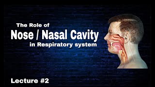 Oral cavity  Nose Role in respiratory system  By AbuBakar Med Plus [upl. by Soren]