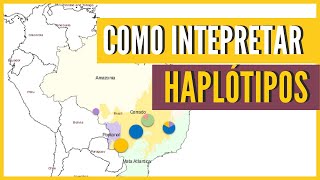 Como interpretar os resultados da rede de haplótipos  Filogeografia [upl. by Hselin618]