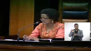 Plenary National Assembly 19 August 2014 [upl. by Astor]