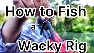 How to Fish a Wacky Rig and Other Details about a Senko [upl. by Glasgo854]