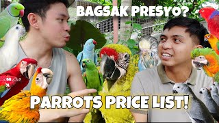 PARROTS PRICE LIST 2024  MAY BUMAGSAK MERON NAG MAHAL [upl. by Nomit558]