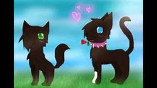 Hollyleaf x Scourge full Warrior cat Amv [upl. by Tebasile570]