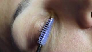 Elleebana Lash Lift amp Tint at Grace Medical Aesthetics [upl. by Ahsietal]