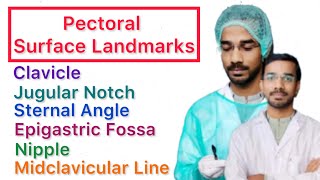 Pectoral Surface Landmark  Clavicle  Jugular Notch  Sternal Angle  Epigastric Fossa  Nipple [upl. by Sandor]