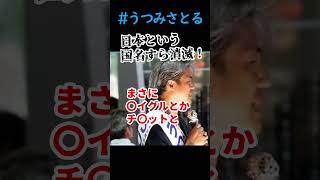 【内海聡】やべぇーぞ！日本という国名すら消滅の可能性が・・・！内海聡 街頭演説 錦糸町20240704 東京都知事選挙 [upl. by Bohlen11]