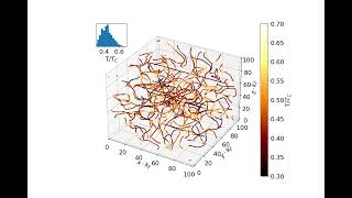 Quantum turbulence in superfluid Fermi gas in the BCS regime evolution of vortex lines [upl. by Yrehcaz119]