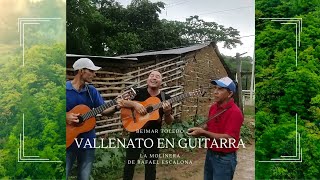 Beimar Toledo  La Molinera  Trio Vallenato En Guitarra Muestra Cultural [upl. by Colt]